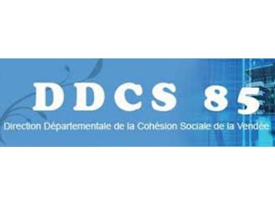 DDCS - 85